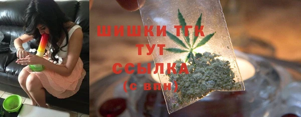 индика Баксан