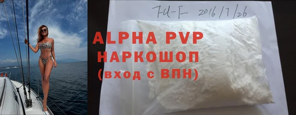 индика Баксан