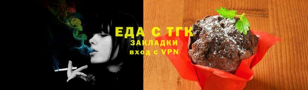 индика Баксан