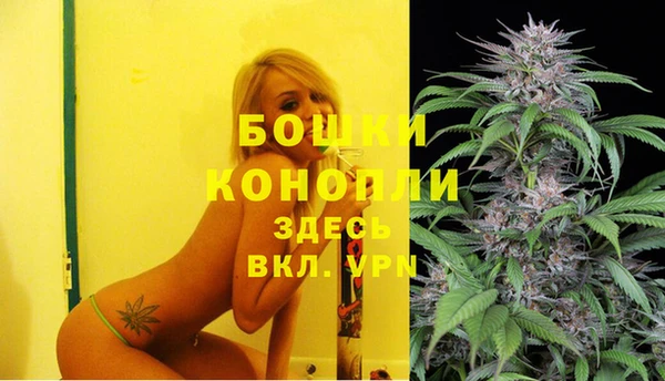индика Баксан